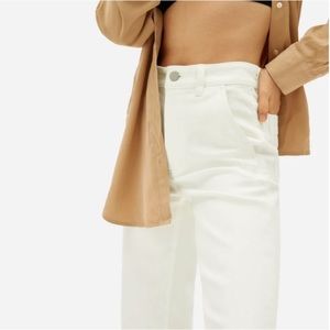 Everlane Slim Pants